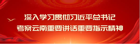 深入学习贯彻习近平总书记考察云南重要讲话重要指示精神