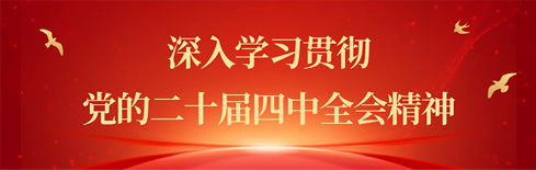 学习贯彻党的二十届四中全会精神专题