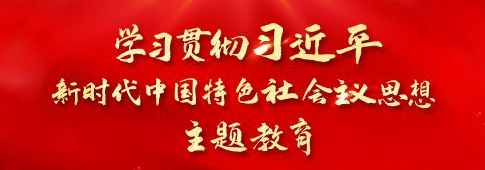 学习贯彻习近平新时代中国特色社会主义思想主题教育 