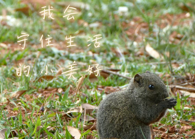 文理时光邮局，开业了！