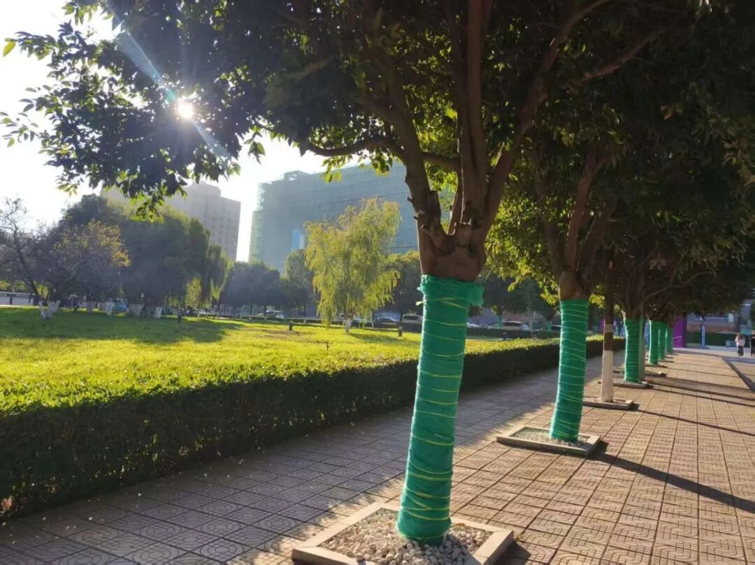 微信图片_20251204102723 微信图片_20251204102723