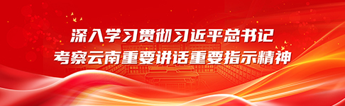 深入学习贯彻习近平总书记考察云南重要讲话重要指示精神