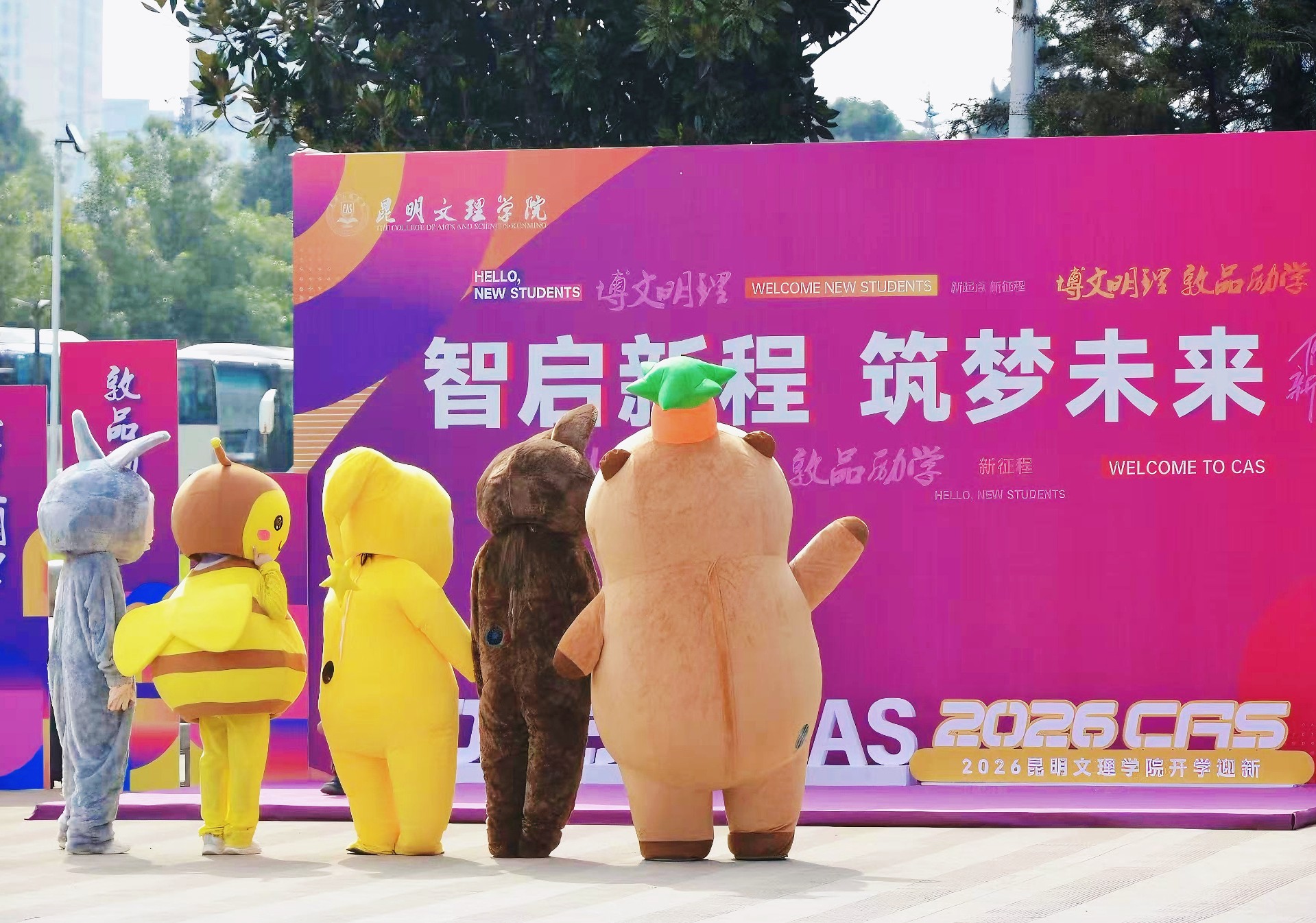 满格心动🩷文理的专属浪漫感