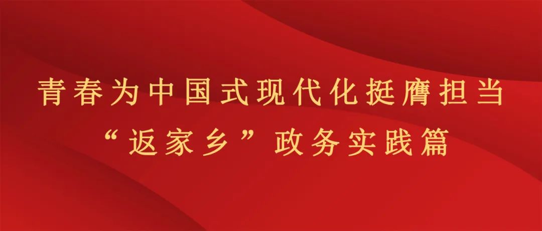 实践育人丨昆明文理学院2025年寒假“返家乡”社会实践活动风采展示（二）——政务实践篇