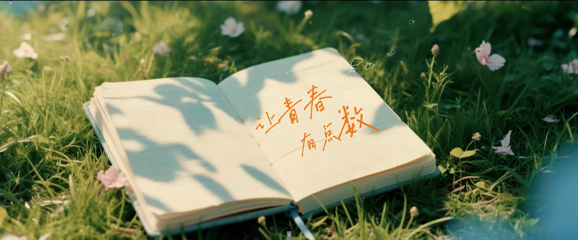 从文理出发，赴山河远阔｜2025，我们毕业啦