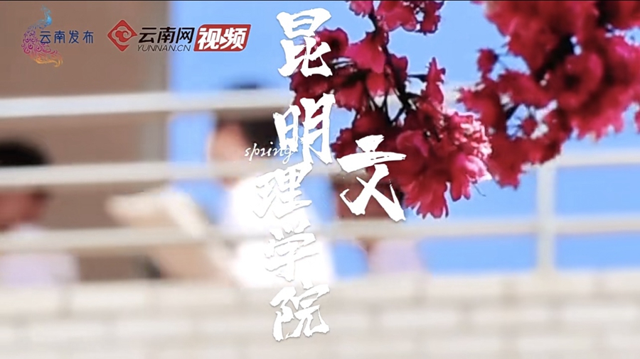 【云南网】藏不住的高校花海，美美美！