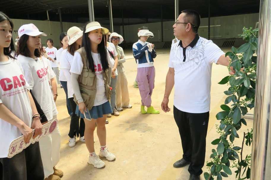 1690182310501261.jpg 图片 43.jpg