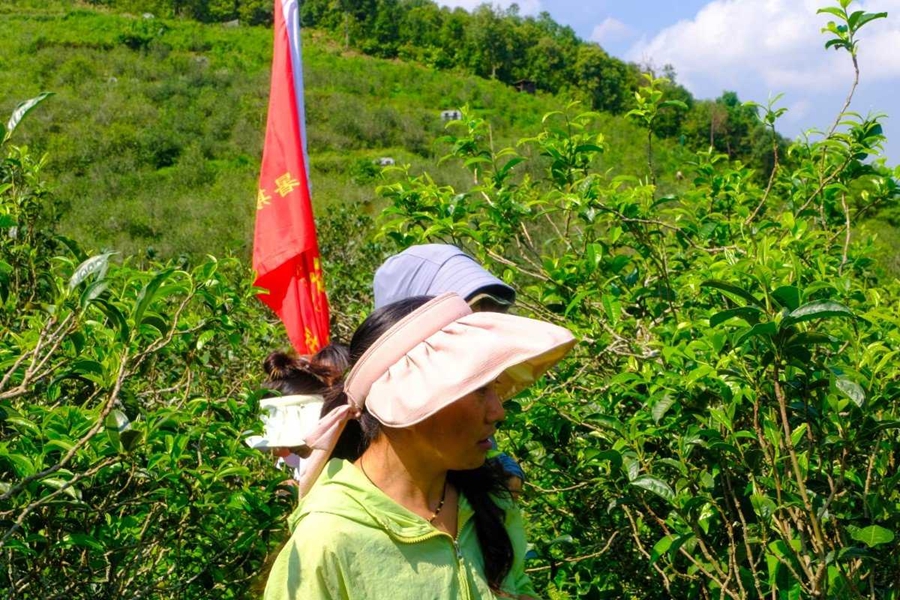 1690182377562602.jpg 图片 45.jpg