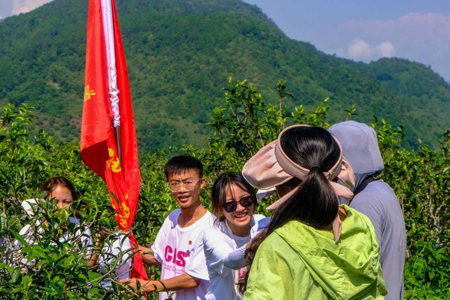1690182385654516.jpg 图片 46.jpg