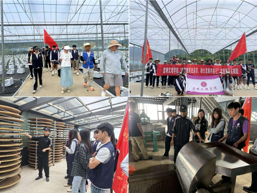 微信图片_2025-08-11_004653_401 微信图片_2025-08-11_004653_401