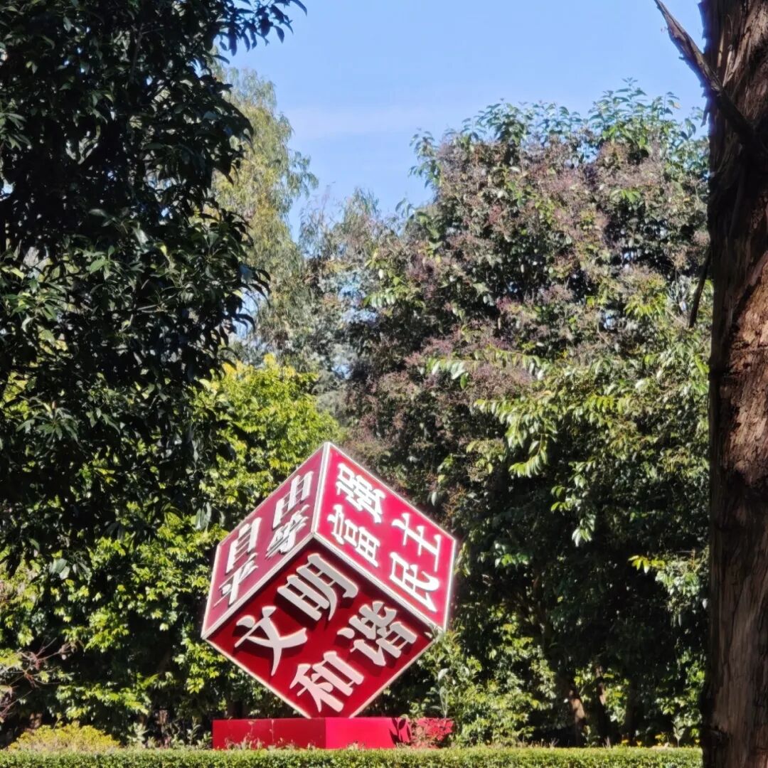 15 15