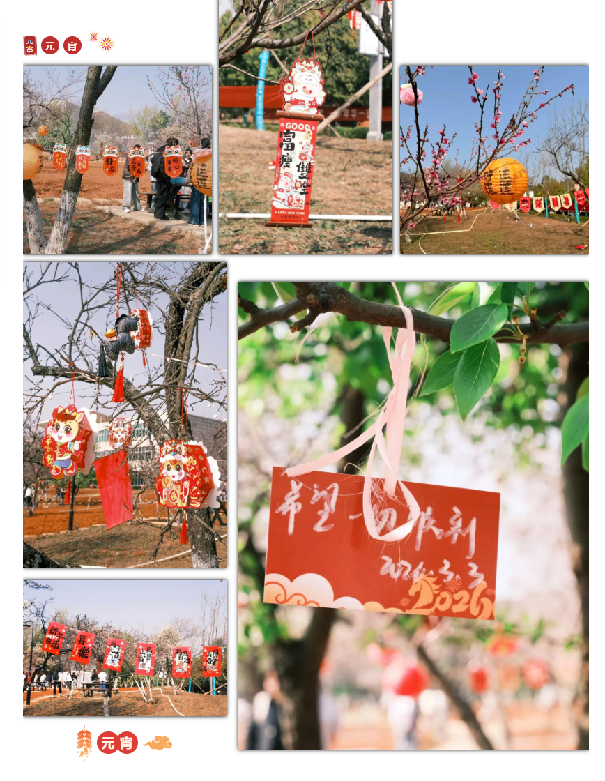 QQ_1772676099973 QQ_1772676099973